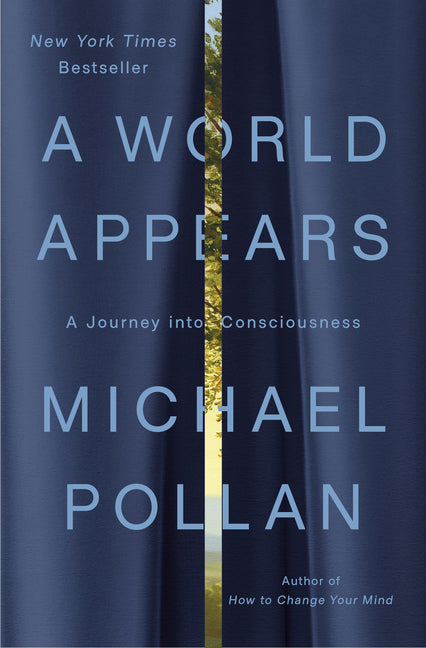 World Appears: A Journey Into Consciousness