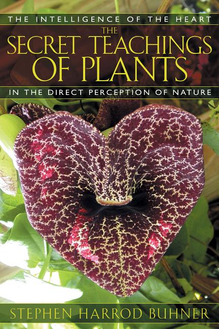 Secret Teachings of Plants: The Intelligence of the Heart in the Direct Perception of Nature (Original)