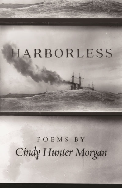 Harborless (Made in Michigan Writers Series)