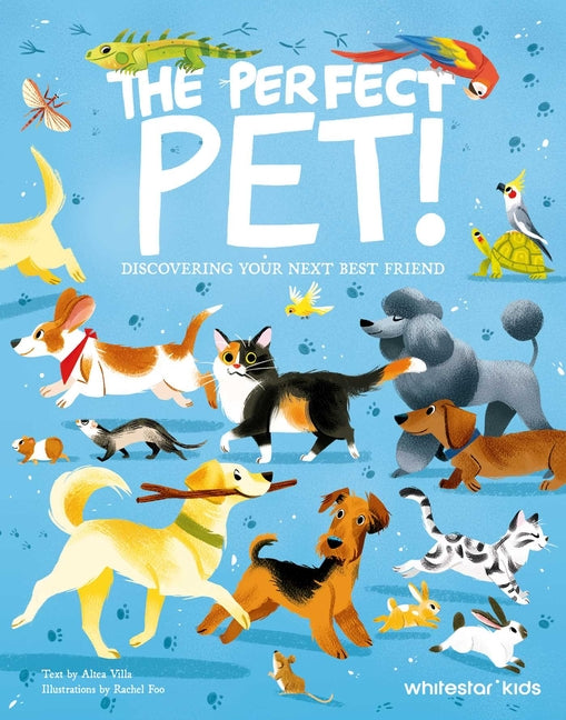 Perfect Pet: Discovering Your Next Best Friend