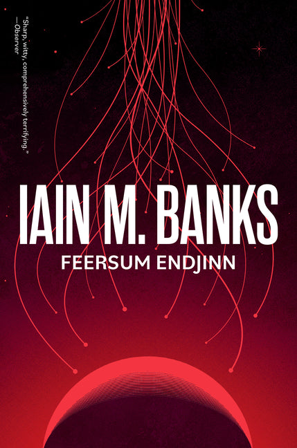 Feersum Endjinn
