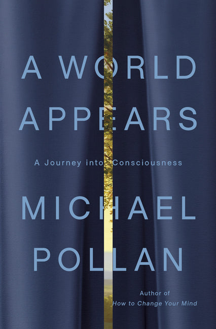 World Appears: A Journey Into Consciousness