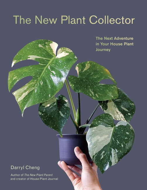 New Plant Collector: The Next Adventure in Your House Plant Journey