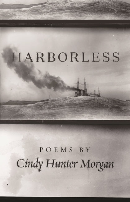 Harborless (Made in Michigan Writers Series)