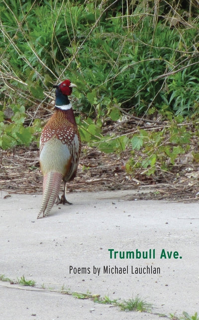 Trumbull Ave. (Made in Michigan Writers Series)