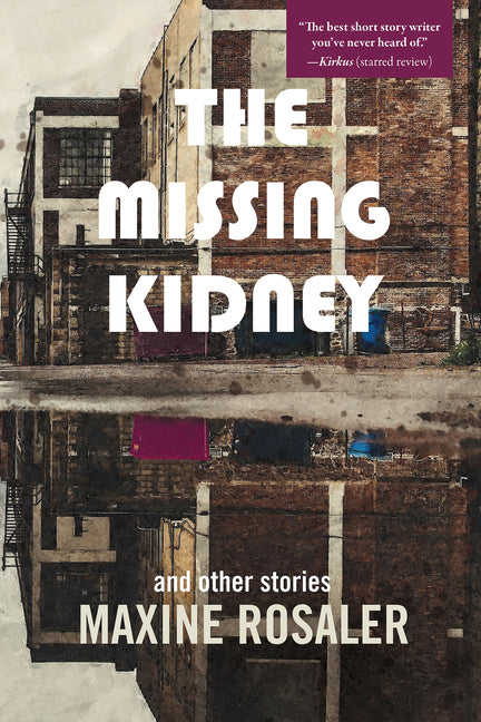 Missing Kidney and Other Stories: And Other Stories