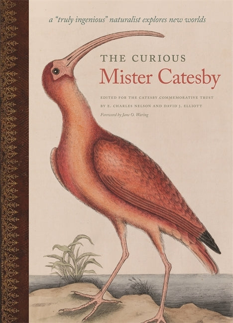 Curious Mister Catesby: A Truly Ingenious Naturalist Explores New Worlds