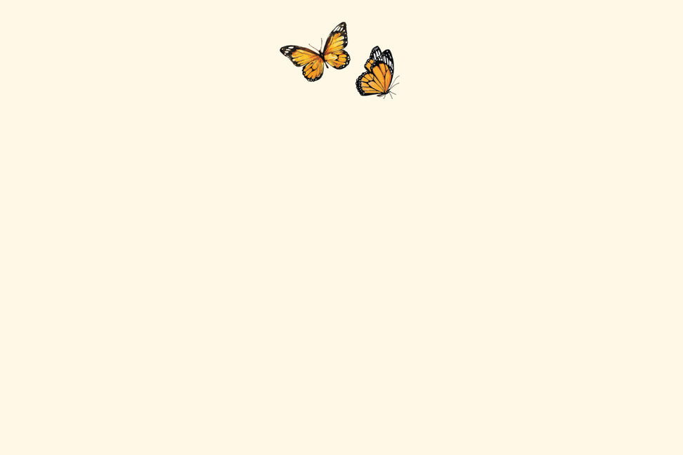 Monarch Butterflies Correspondence Cards (25 Cards, 26 Self-Sealing Envelopes)