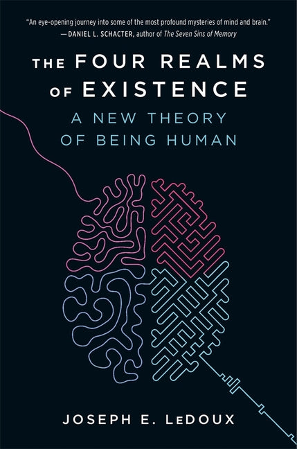 Four Realms of Existence: A New Theory of Being Human