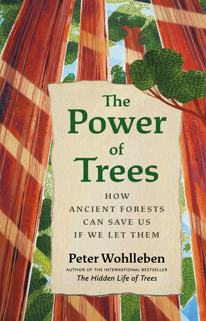 The Power of Trees: How Ancient Forests Can Save Us if We Let Them (David Suzuki Institute)